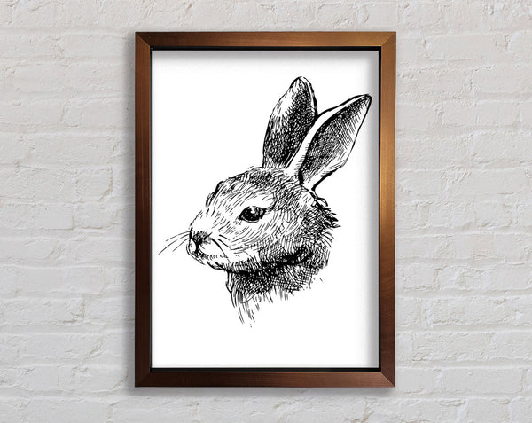 Bunny Portrait Framed Print