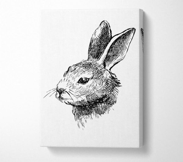  A Canvas Print of Bunny Portrait Canvas Art