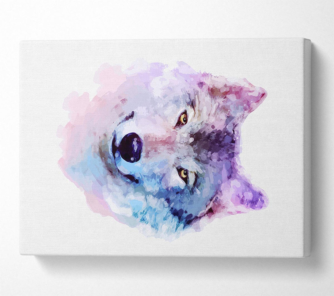  A Canvas Print of Stunning Wolf Canvas Art