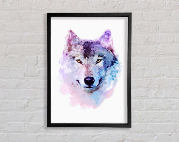 Stunning Wolf Framed Print