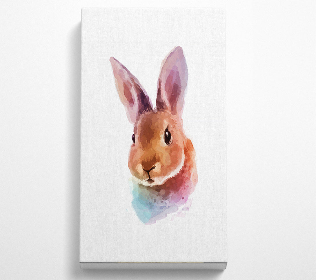  A Canvas Print of Rabbit Portrait Canvas Print