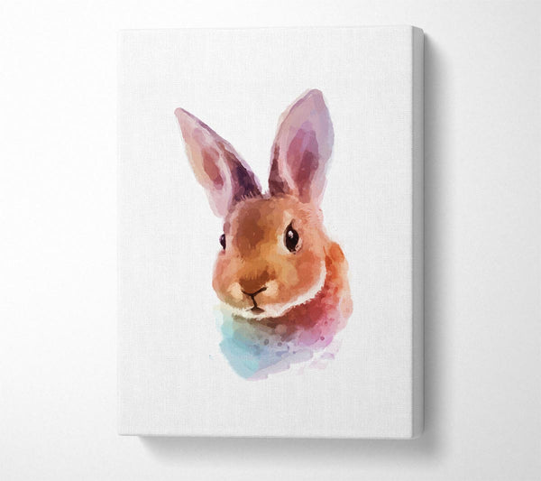  A Canvas Print of Rabbit Portrait Canvas Print