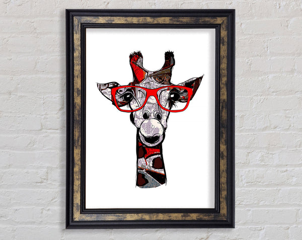 Funky Giraffe 2 Framed Print