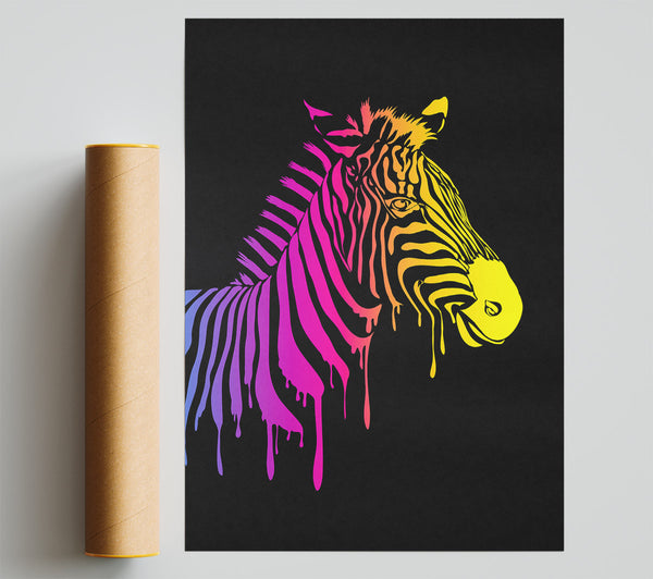 Zebra Rainbow Poster