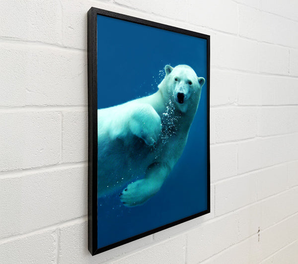 Polar Bear Bubbles