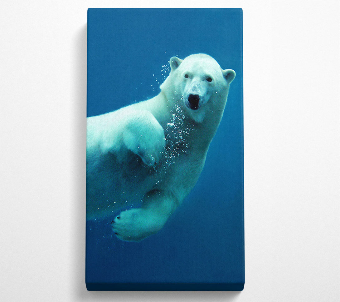 A Canvas Print of Polar Bear Bubbles Canvas Wall Art