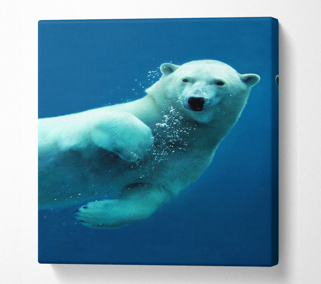  A Canvas Print of Polar Bear Bubbles Canvas Wall Art