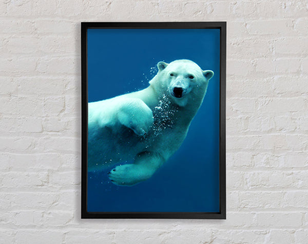 Polar Bear Bubbles Framed Print