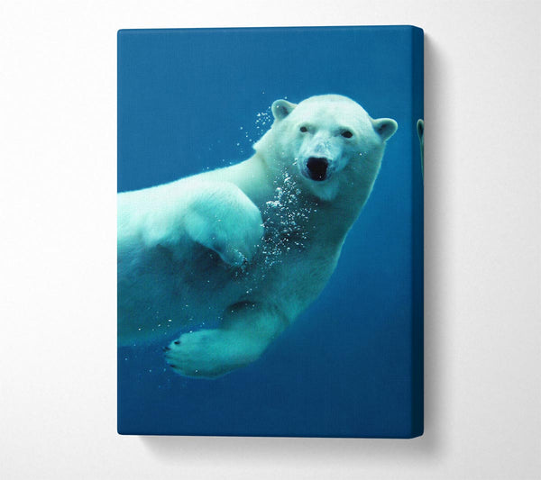  A Canvas Print of Polar Bear Bubbles Canvas Wall Art