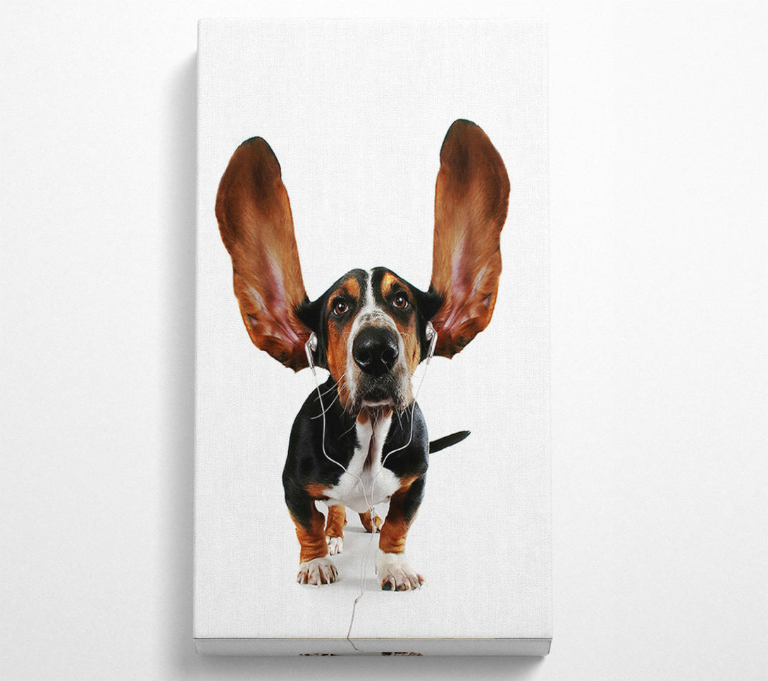  A Canvas Print of Basset Hound Music Canvas Print