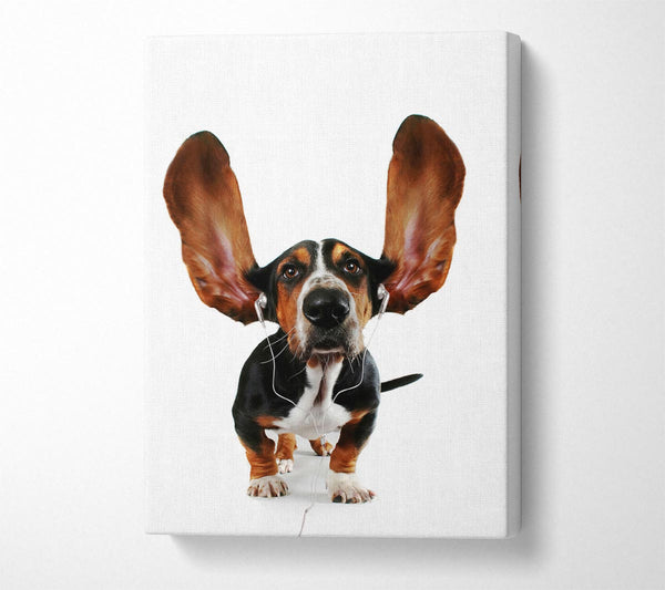  A Canvas Print of Basset Hound Music Canvas Print