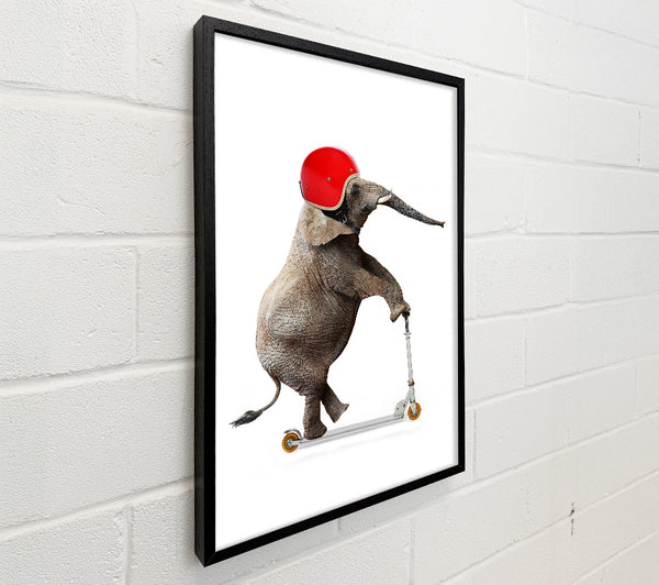 Elephant Scooter