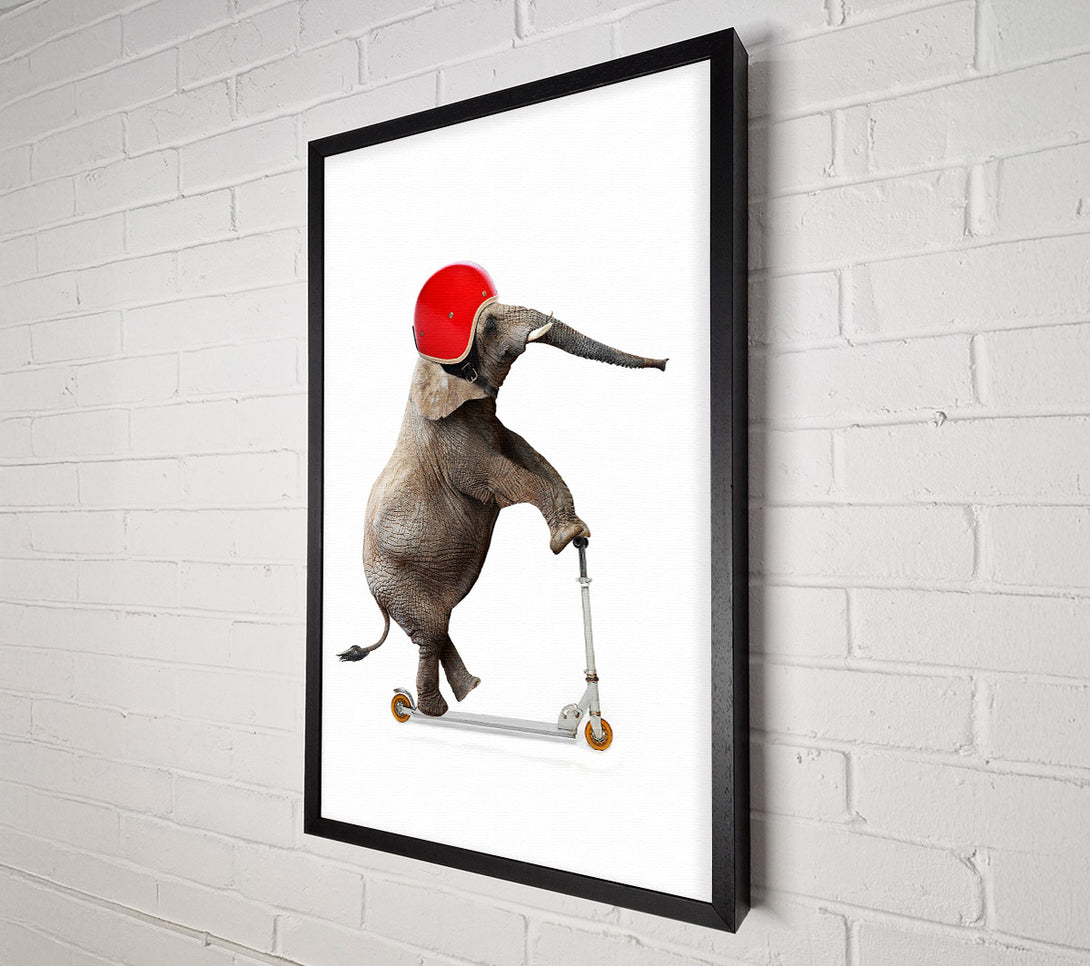  A Canvas Print of Elephant Scooter Canvas Wall Art