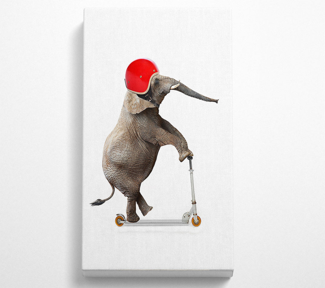  A Canvas Print of Elephant Scooter Canvas Wall Art