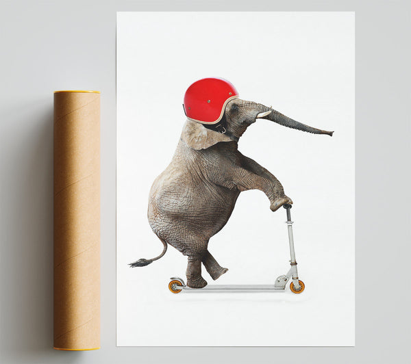 Elephant Scooter Giclee Print