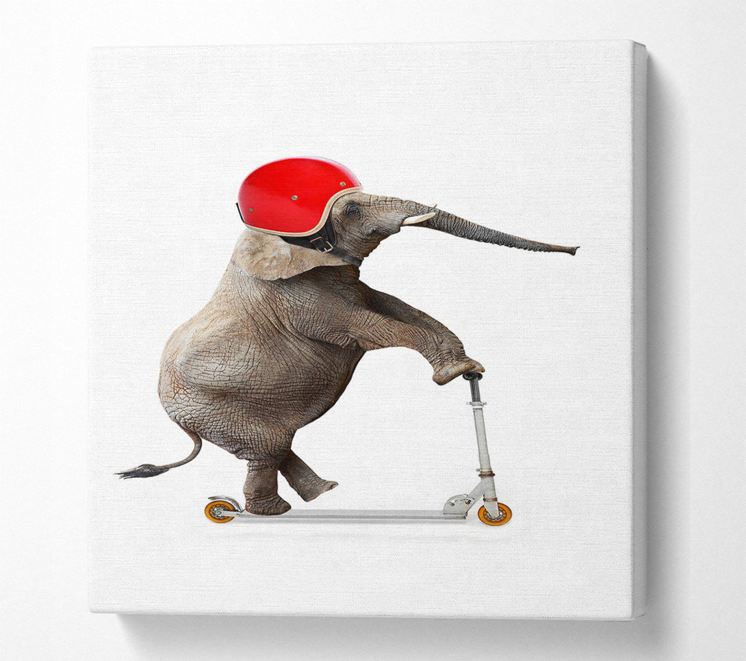  A Canvas Print of Elephant Scooter Canvas Wall Art