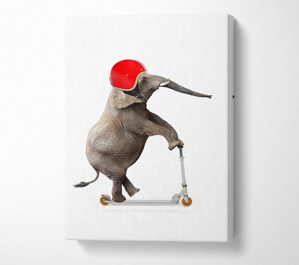  A Canvas Print of Elephant Scooter Canvas Wall Art