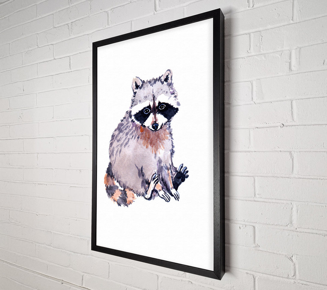  A Canvas Print of Raccoon Sitting Canvas Print