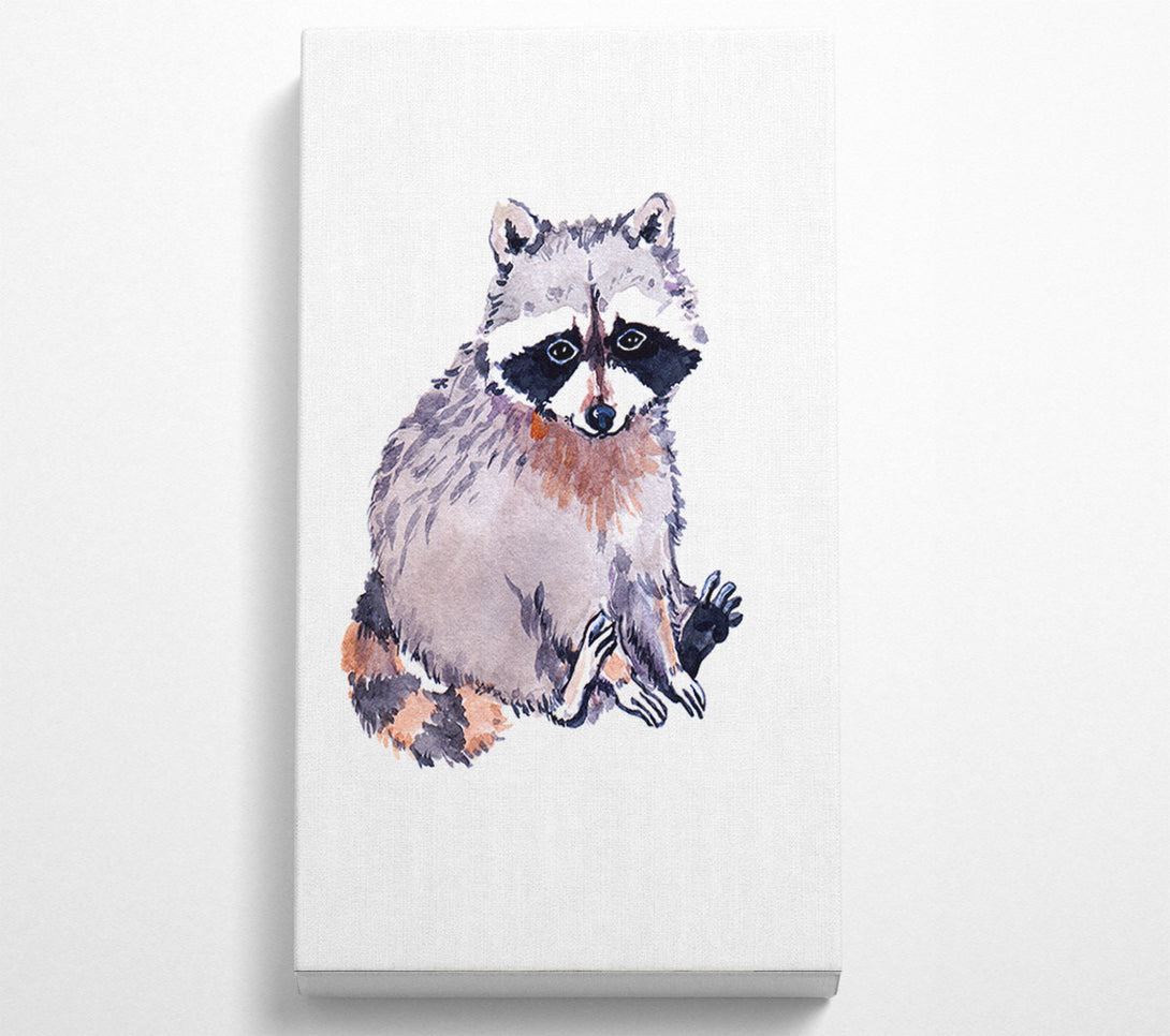  A Canvas Print of Raccoon Sitting Canvas Print