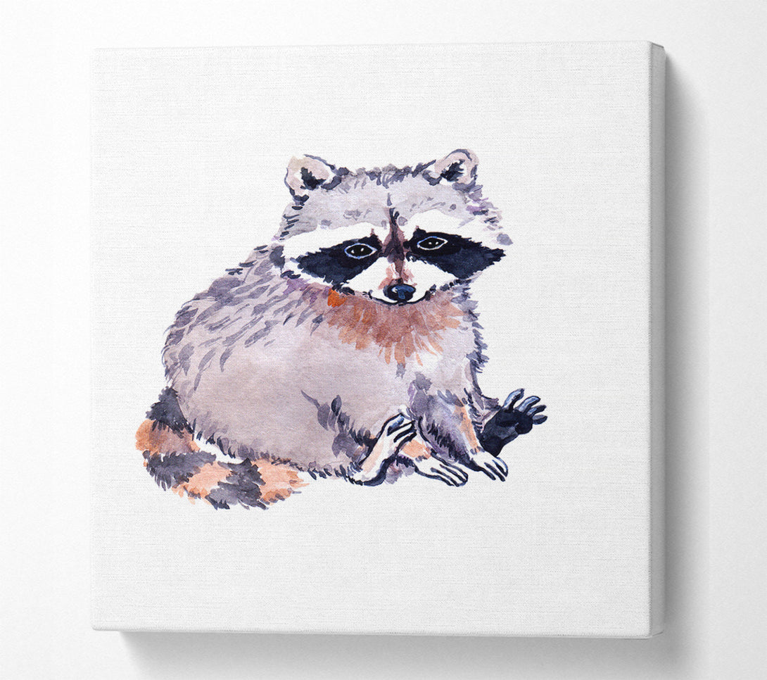  A Canvas Print of Raccoon Sitting Canvas Print