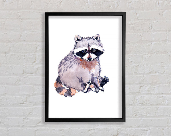 Raccoon Sitting Framed Print