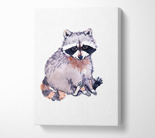  A Canvas Print of Raccoon Sitting Canvas Print