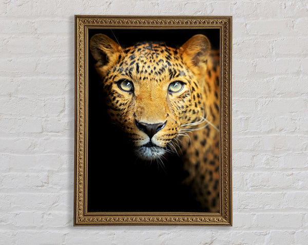 Leopard Beauty Framed Print
