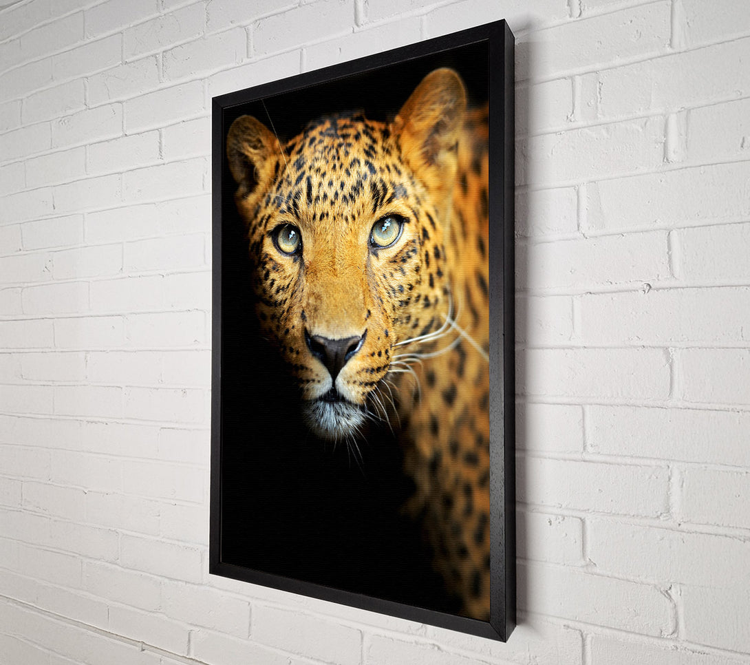  A Canvas Print of Leopard Beauty Canvas Print