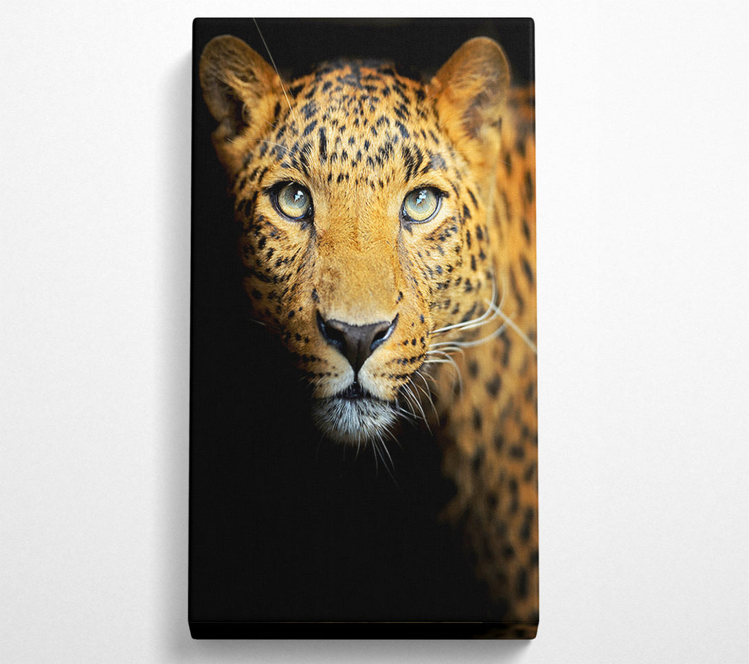  A Canvas Print of Leopard Beauty Canvas Print