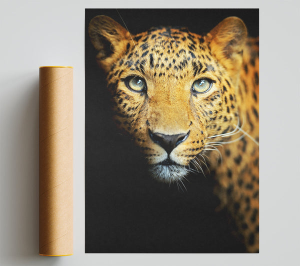 Leopard Beauty Print