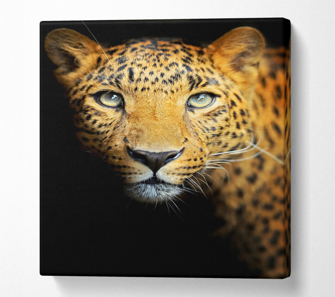  A Canvas Print of Leopard Beauty Canvas Print