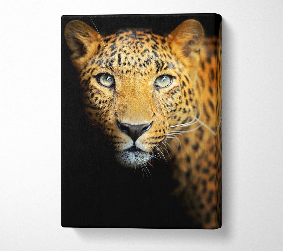  A Canvas Print of Leopard Beauty Canvas Print