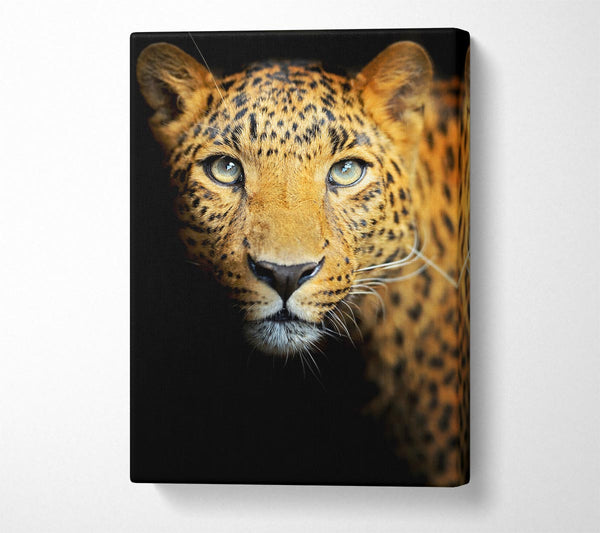  A Canvas Print of Leopard Beauty Canvas Print