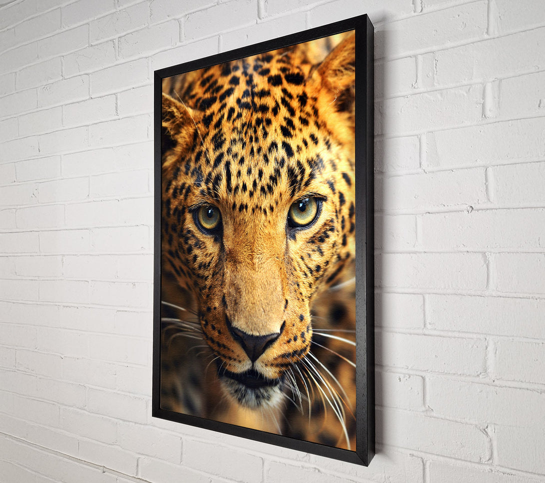  A Canvas Print of Leopard Stare Canvas Wall Art