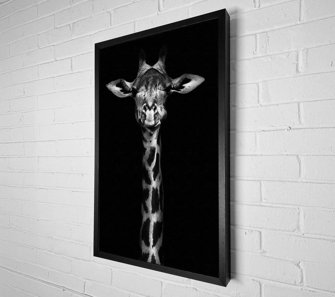  A Canvas Print of Cute Giraffe Canvas Art
