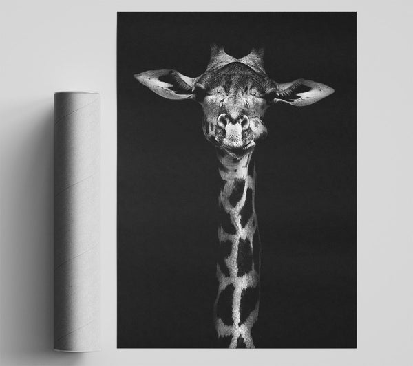 Cute Giraffe Poster