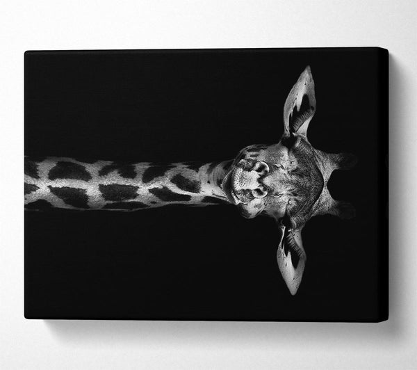  A Canvas Print of Cute Giraffe Canvas Art