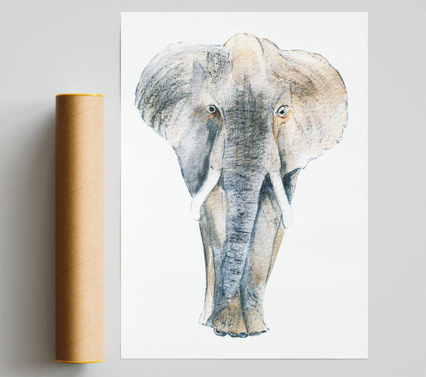 Elephant Drawing Poster