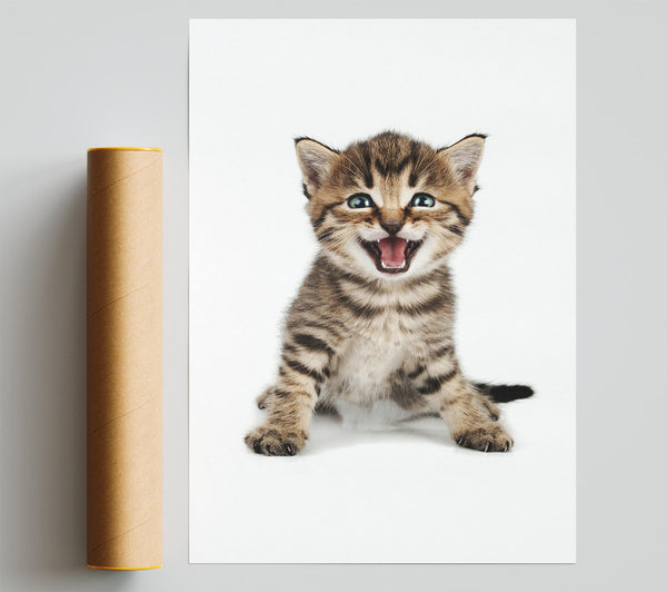 Cat Laugh Giclee Print