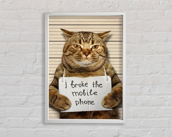 Katze beichtet