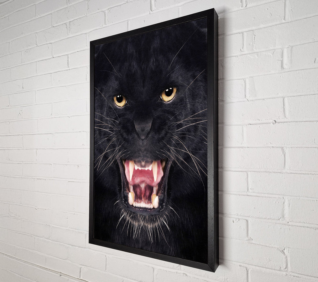  A Canvas Print of Panther Roar Canvas Print