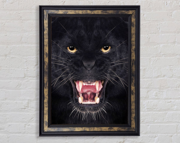 Panther Roar Framed Print