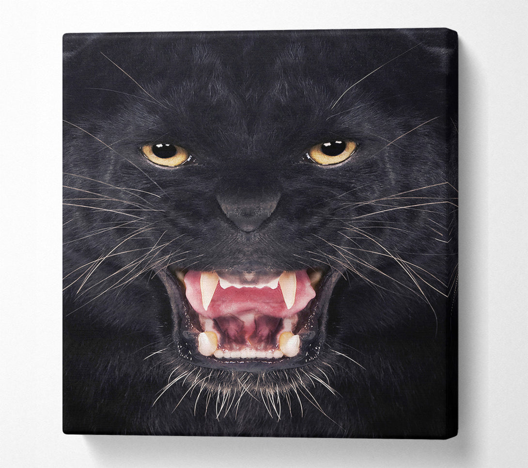  A Canvas Print of Panther Roar Canvas Print