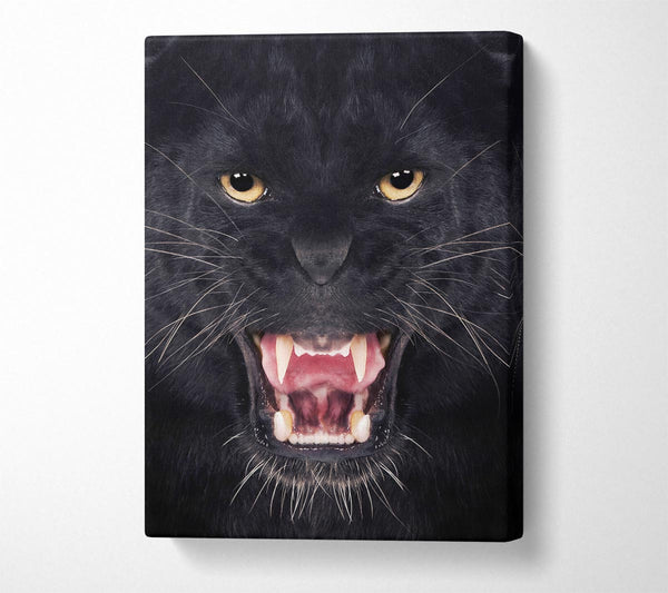  A Canvas Print of Panther Roar Canvas Print