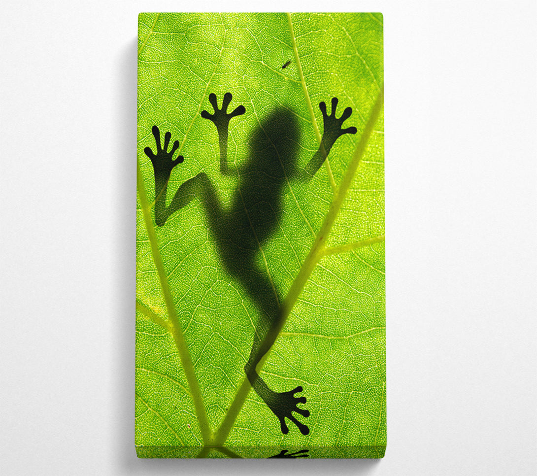  A Canvas Print of Frog Shadow Canvas Print