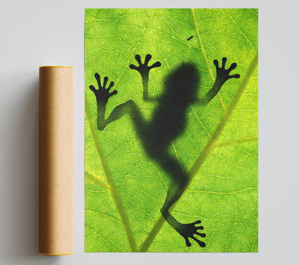Frog Shadow Print
