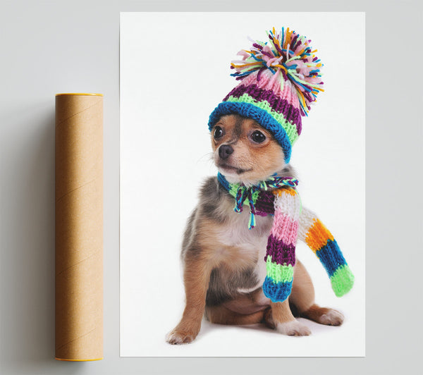 Chihuahua Dog Dressed For Winter Giclee Print