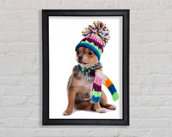 Chihuahua Dog Dressed For Winter Framed Print