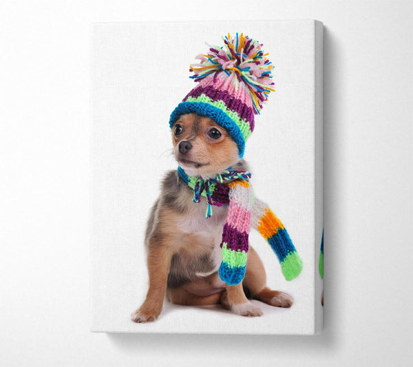  A Canvas Print of Chihuahua Dog Dressed For Winter Canvas Art