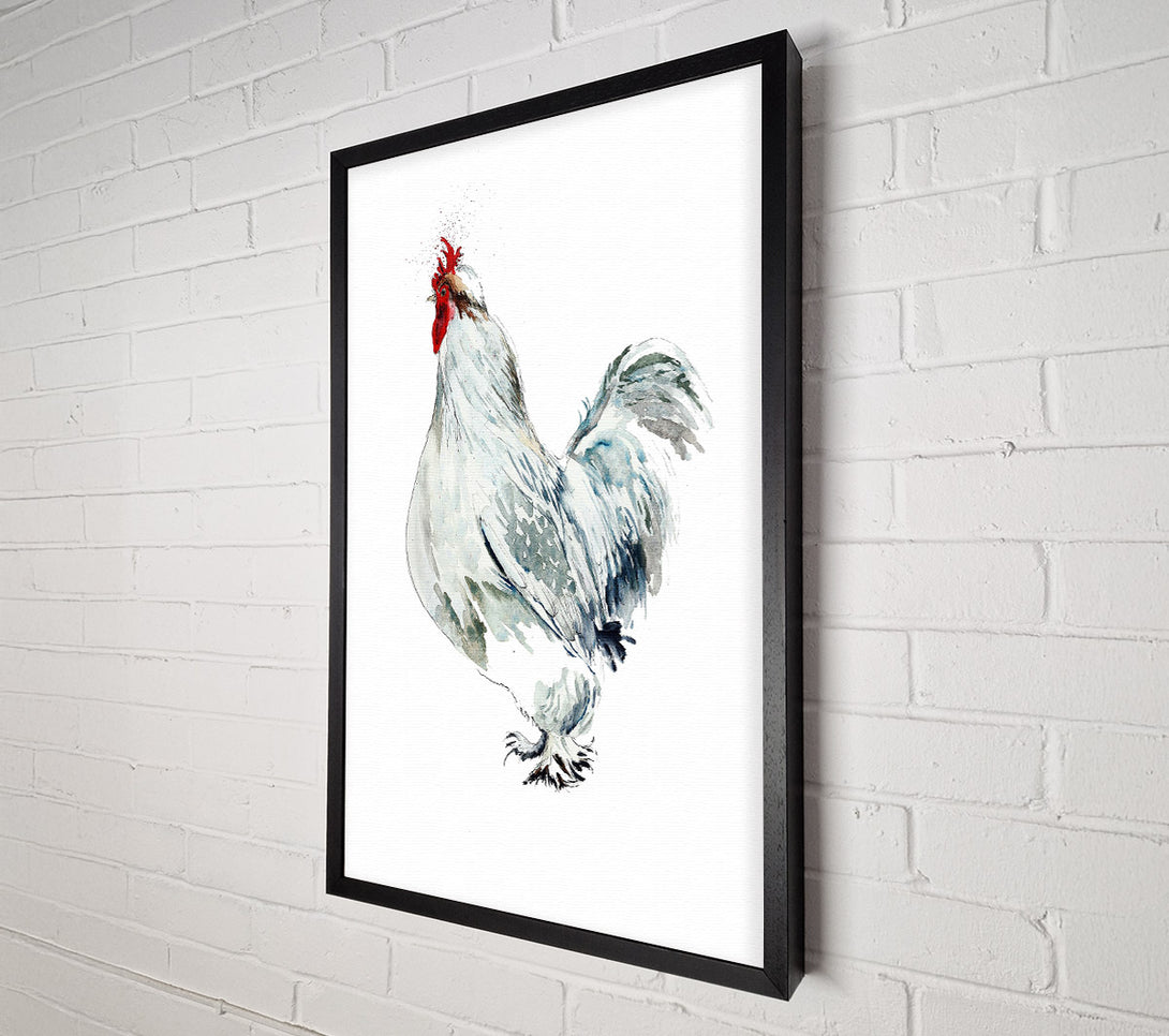  A Canvas Print of White Hen Canvas Wall Art